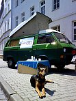 Das ist unser Bus, in dem die Interessenten sich zurückziehen, damit sie in Ruhe ihren Gedanken freien Lauf lassen konnten. (Foto: Oliver Schein)